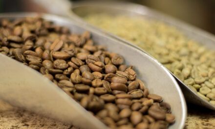 Apostando por el café venezolano: EICEV 2023