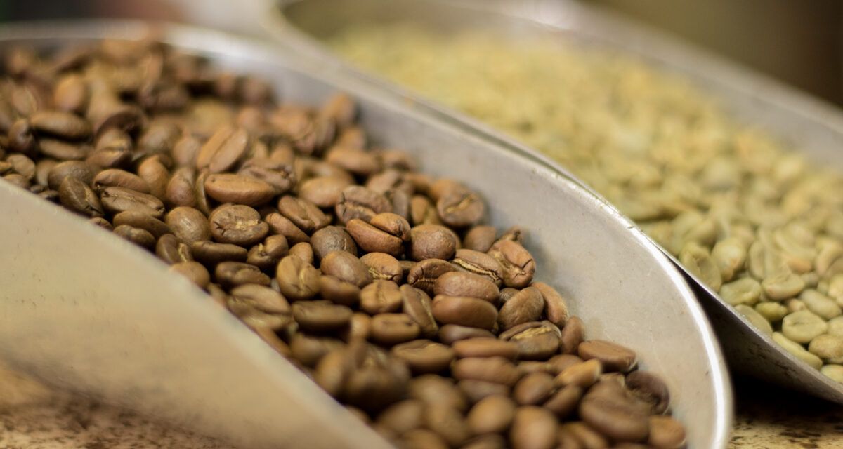 Café Boconó, IGP
