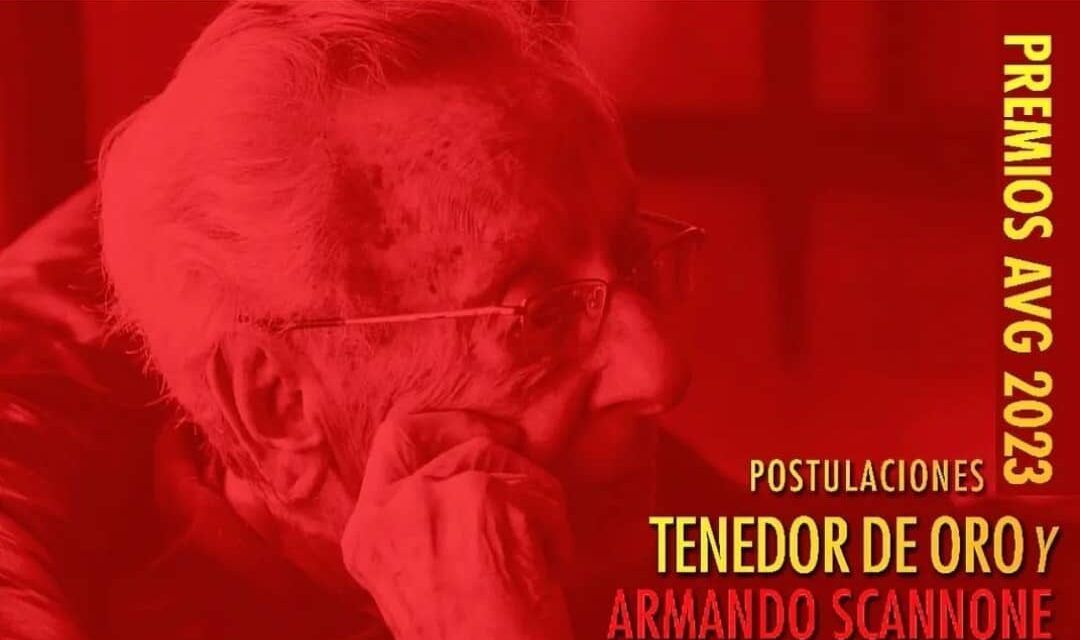 Abierto el periodo de postulaciones para los premios de la AVG 2023