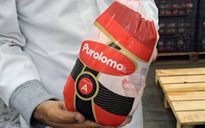 Cinco cosas que no sabías de Purolomo