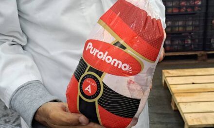 Cinco cosas que no sabías de Purolomo