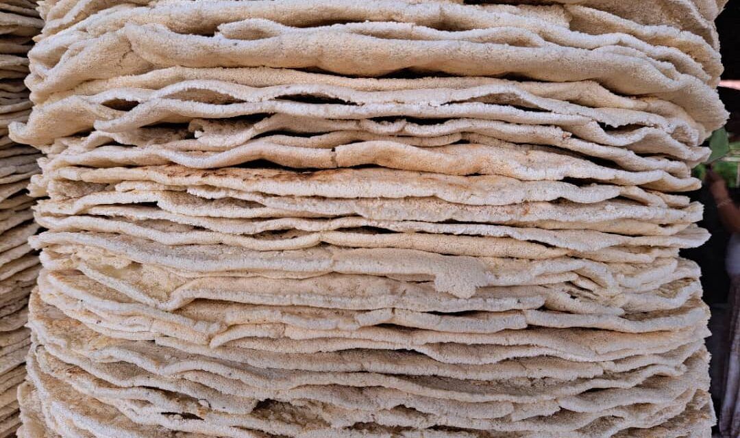 Casabe, la redención de la yuca iracunda