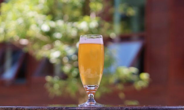 Regresa el Jardín Cervecero