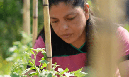 Osole y el DVC «Siembran Esperanza»