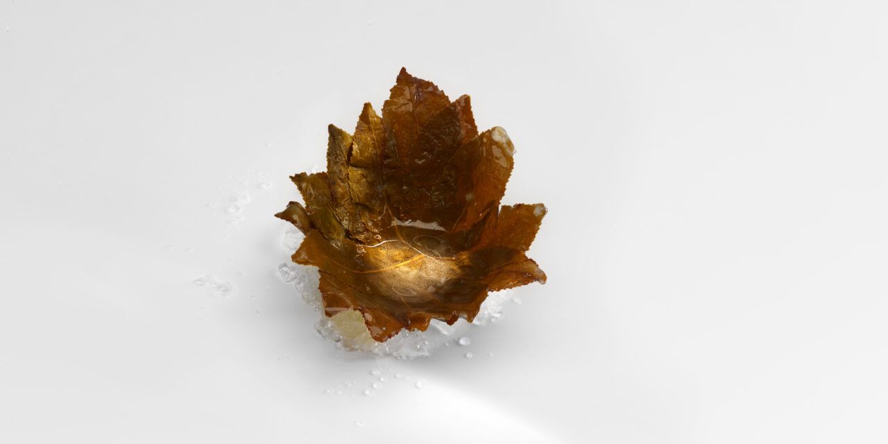 Mugaritz, lo que no se ve