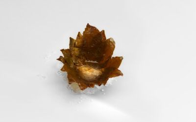 Mugaritz, lo que no se ve