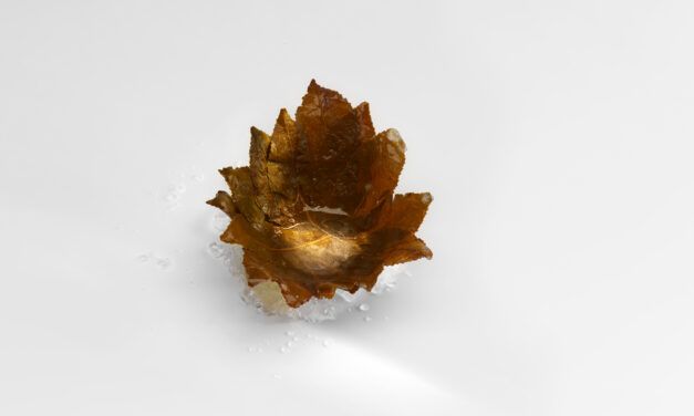 Mugaritz, lo que no se ve