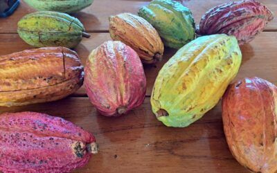 ¡Regresan los coloquios de Venezuela Gastronómica!