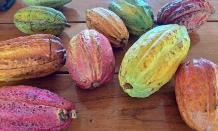 ¡Regresan los coloquios de Venezuela Gastronómica!