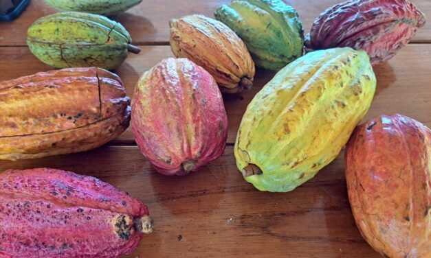 ¡Regresan los coloquios de Venezuela Gastronómica!