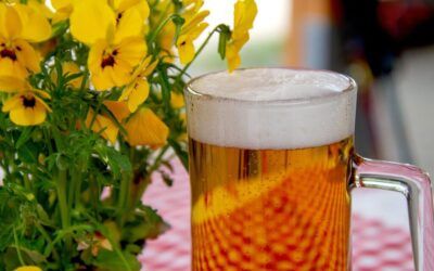 Llegó la cuarta edición del Jardín Cervecero
