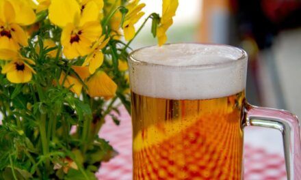 Llegó la cuarta edición del Jardín Cervecero