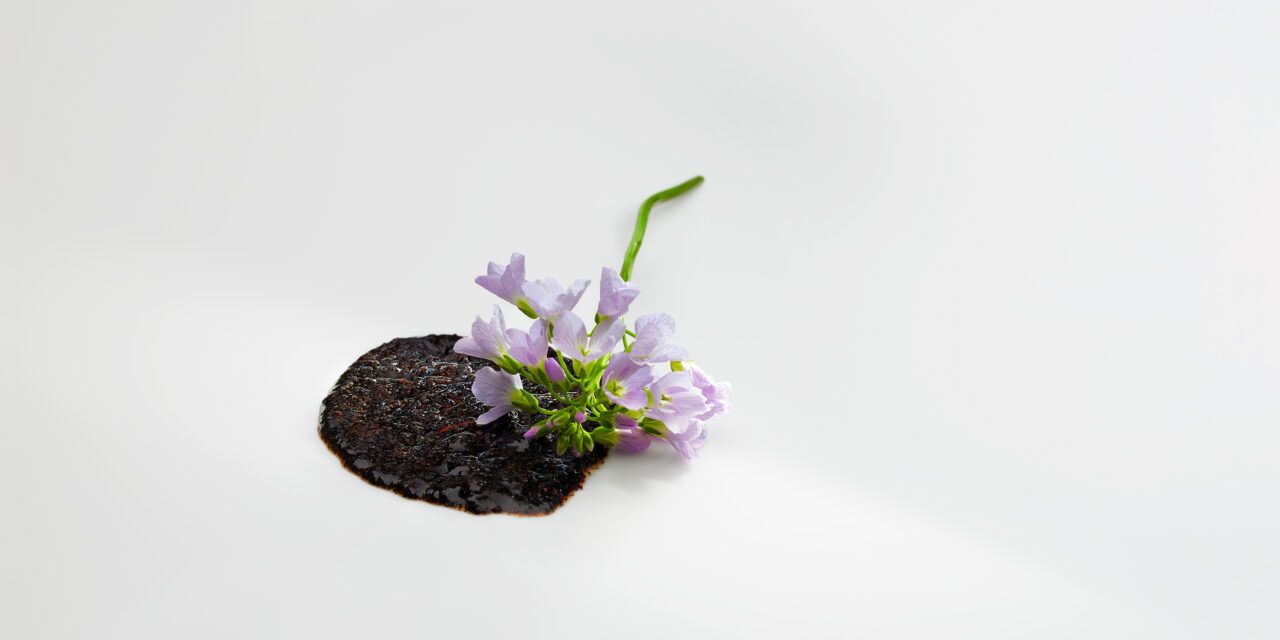 Cinco motivos para no perderse la temporada 2025 de Mugaritz