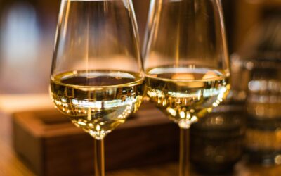 ¡Un Brindis por la Cultura! El Vino Toma Caracas Celebra su XVIII Edición
