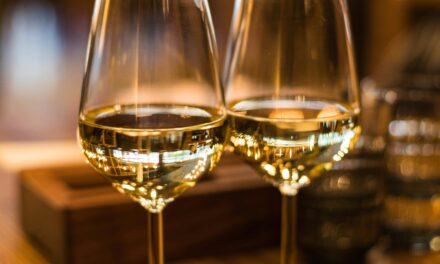 ¡Un Brindis por la Cultura! El Vino Toma Caracas Celebra su XVIII Edición